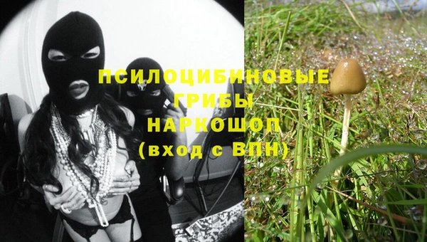 альфа пвп Вяземский