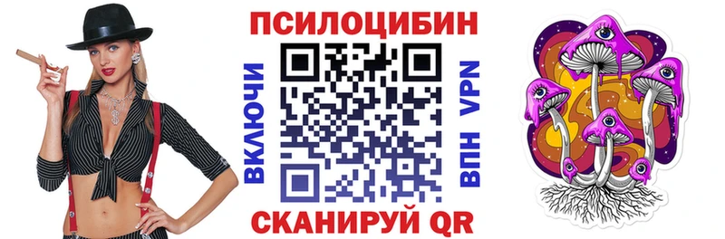 мега   Петровск-Забайкальский  Псилоцибиновые грибы ЛСД 